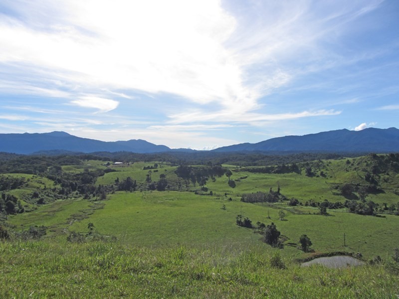 Butchers Creek QLD 4885
