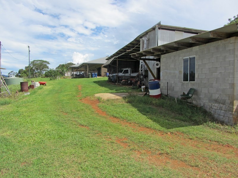 Butchers Creek QLD 4885