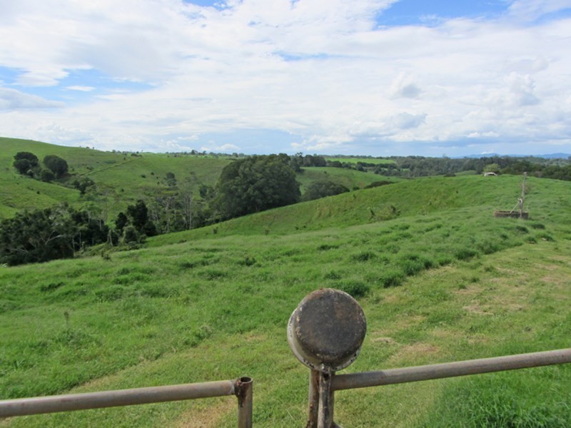 Butchers Creek QLD 4885