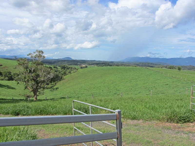 Butchers Creek QLD 4885