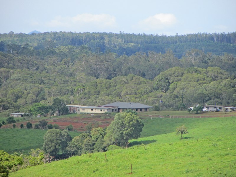 Butchers Creek QLD 4885