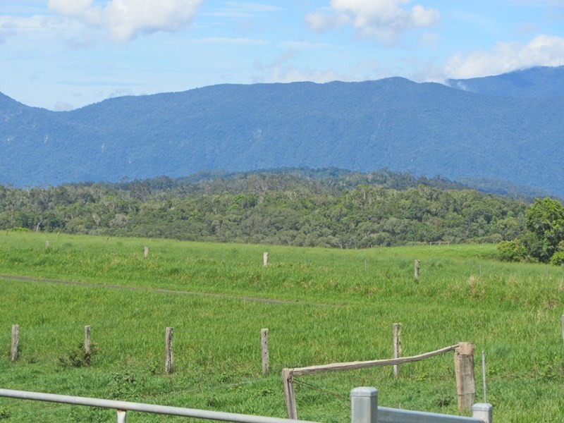 Butchers Creek QLD 4885