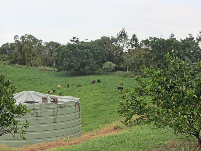 Butchers Creek QLD 4885