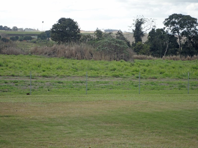 Yungaburra QLD 4884