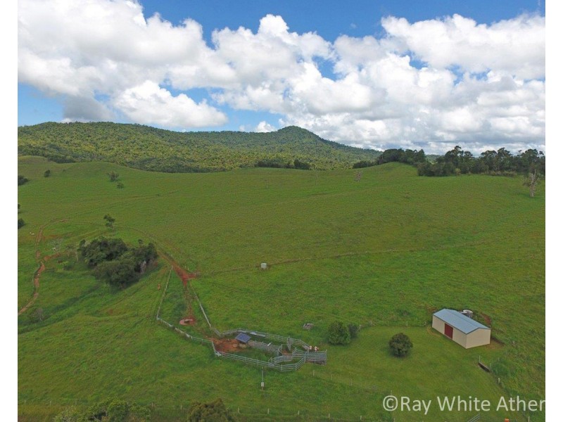 Millaa Millaa QLD 4886