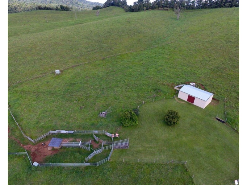 Millaa Millaa QLD 4886