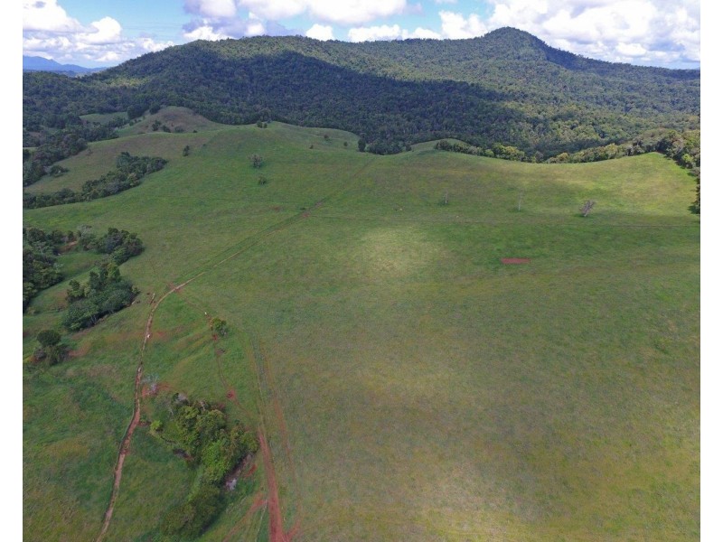 Millaa Millaa QLD 4886