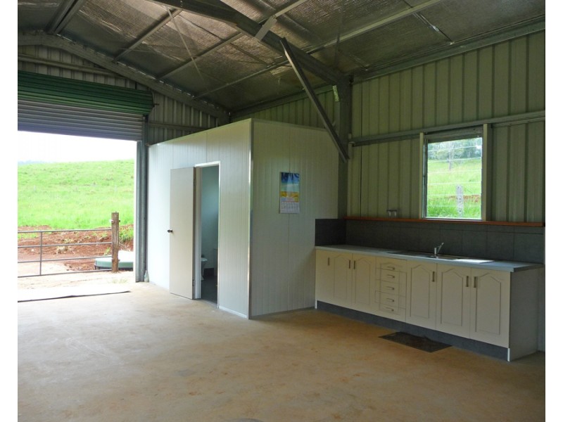 Millaa Millaa QLD 4886