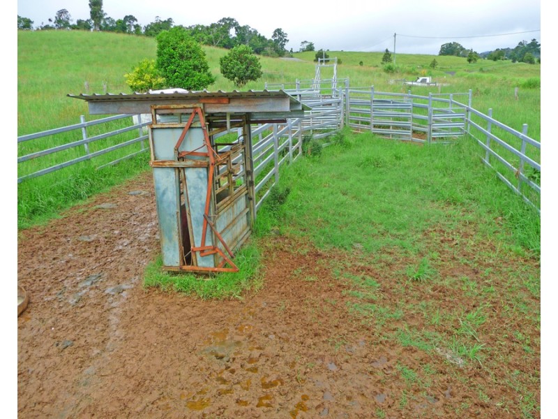 Millaa Millaa QLD 4886