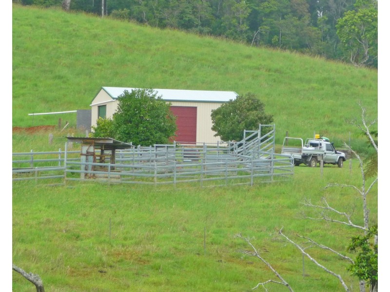 Millaa Millaa QLD 4886