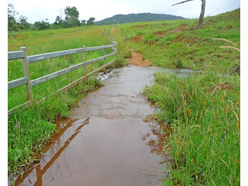 Millaa Millaa QLD 4886