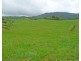 Millaa Millaa QLD 4886