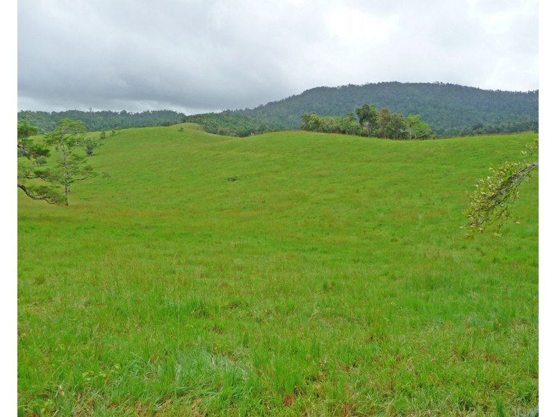 Millaa Millaa QLD 4886