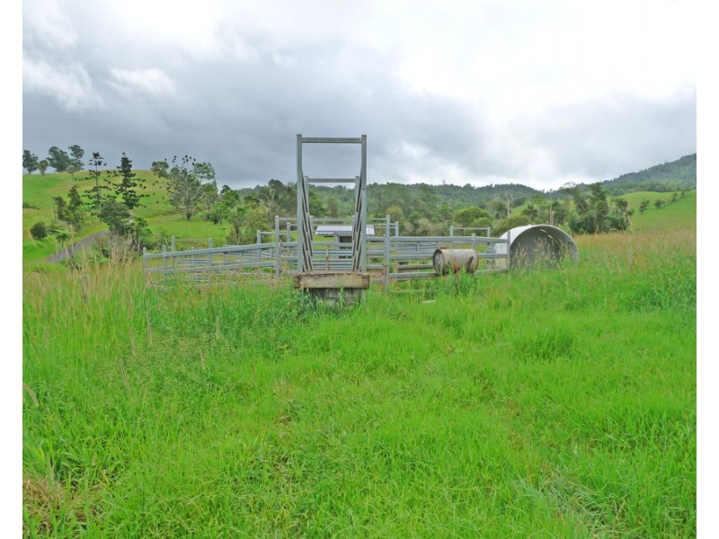 Millaa Millaa QLD 4886