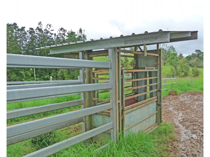 Millaa Millaa QLD 4886