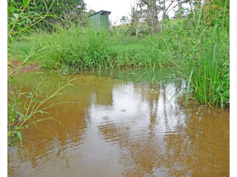 Millaa Millaa QLD 4886