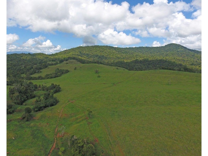 Millaa Millaa QLD 4886