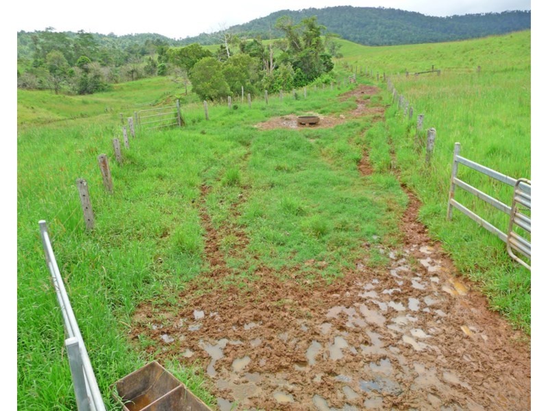 Millaa Millaa QLD 4886