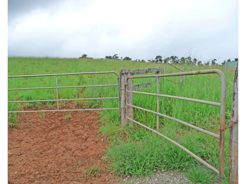 Millaa Millaa QLD 4886