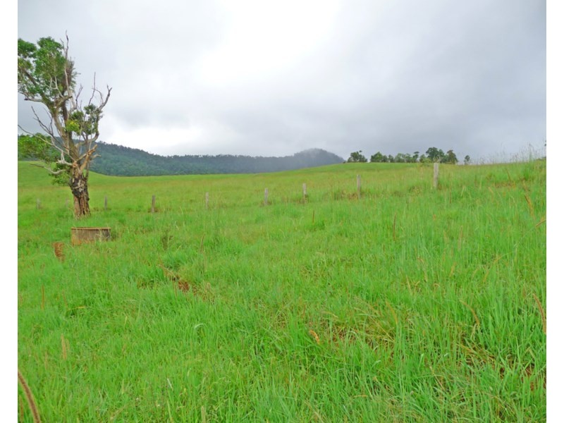 Millaa Millaa QLD 4886