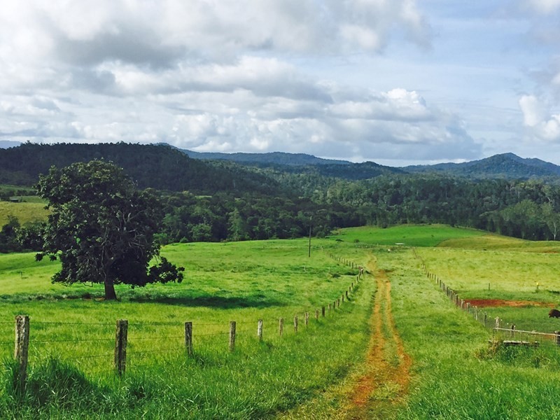 Lake Eacham QLD 4884