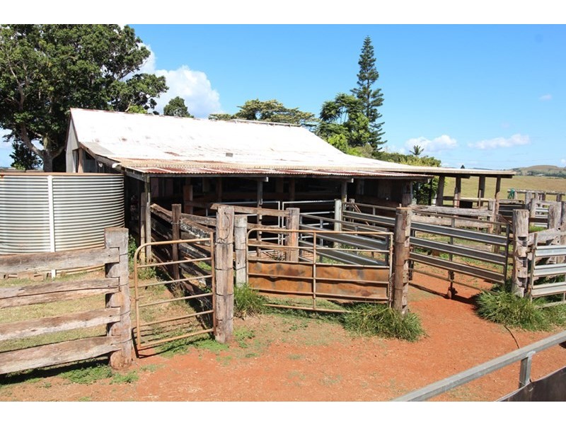 Lake Eacham QLD 4884