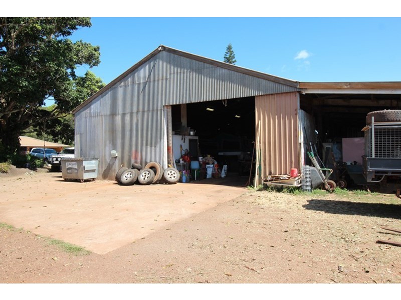 Lake Eacham QLD 4884