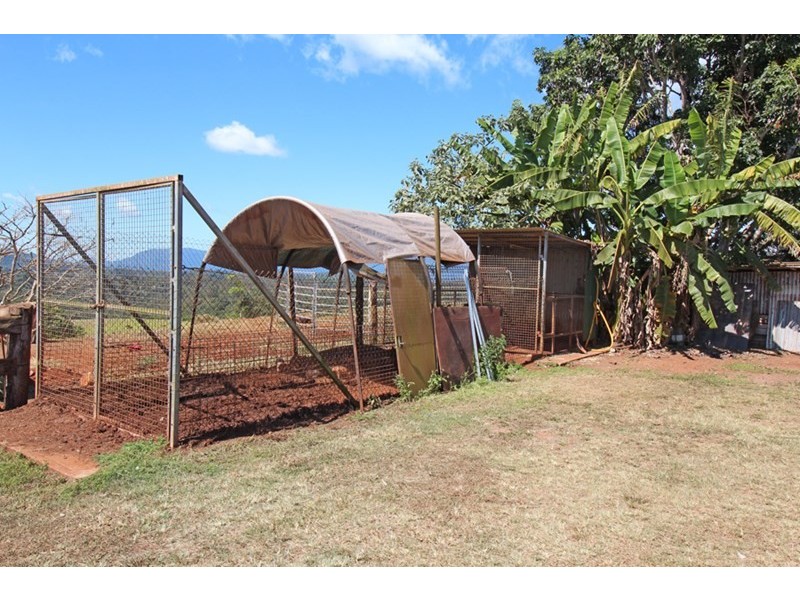Lake Eacham QLD 4884