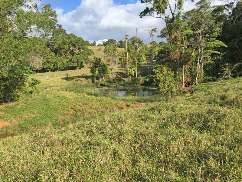 Lake Eacham QLD 4884