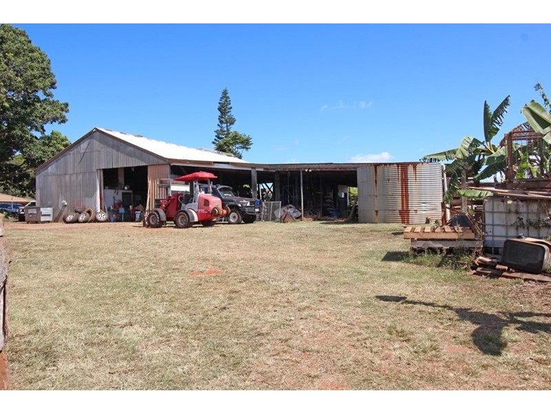 Lake Eacham QLD 4884