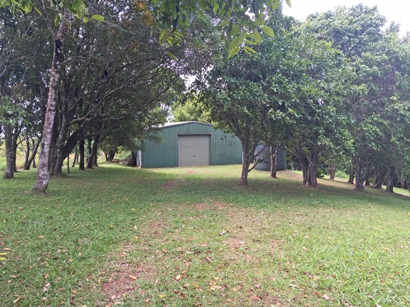 Glen Allyn QLD 4885