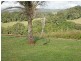Malanda QLD 4885