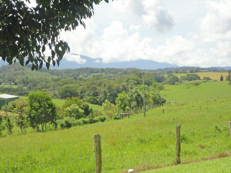 Lake Eacham QLD 4884