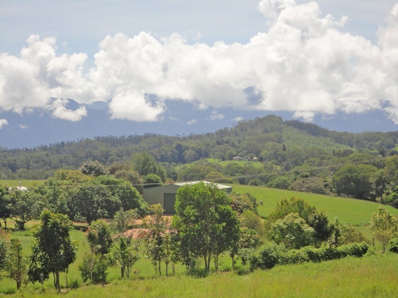 Lake Eacham QLD 4884