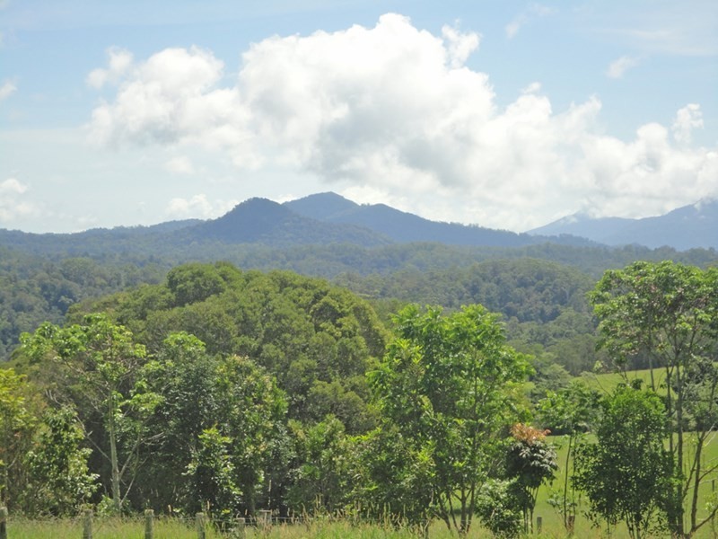 Lake Eacham QLD 4884
