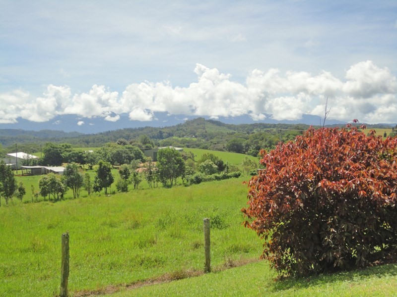 Lake Eacham QLD 4884