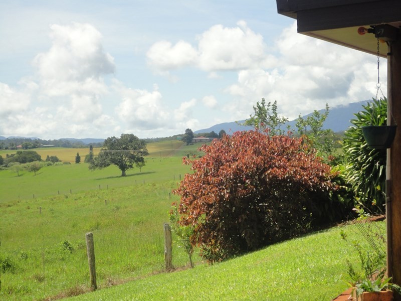Lake Eacham QLD 4884