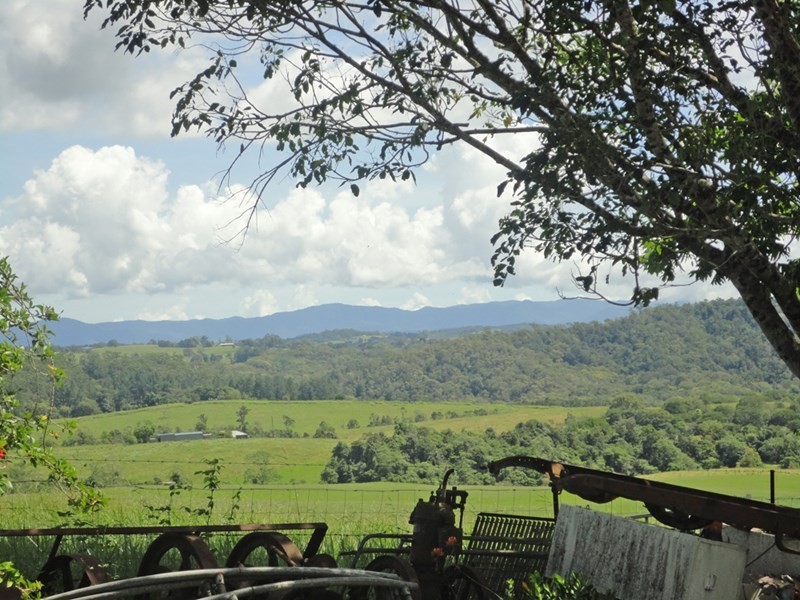 Lake Eacham QLD 4884
