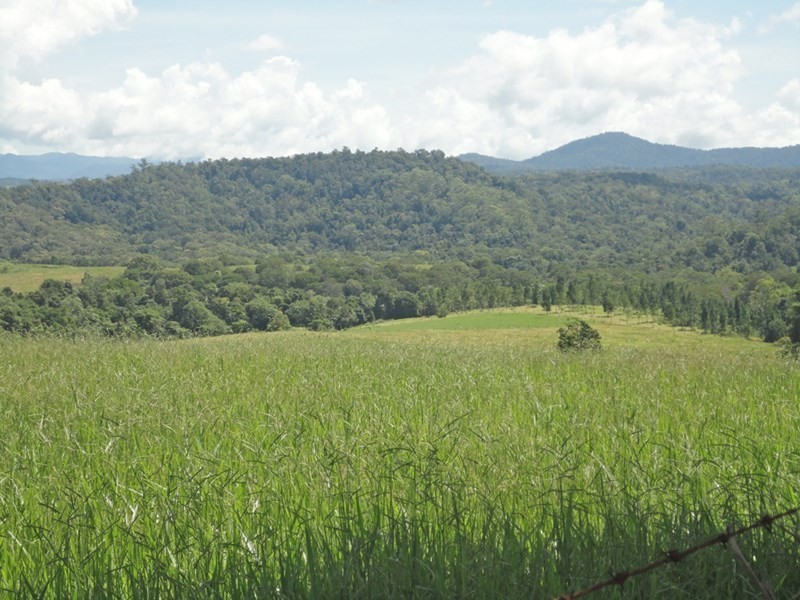 Lake Eacham QLD 4884