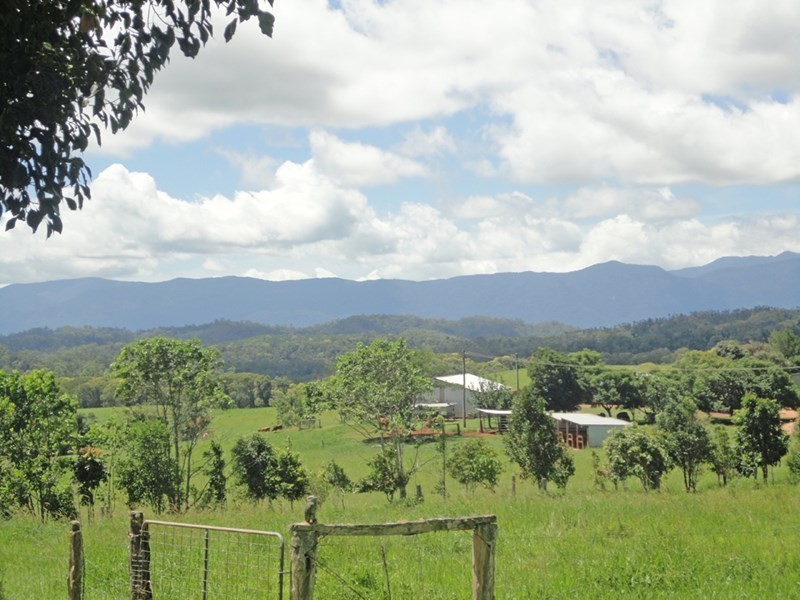 Lake Eacham QLD 4884