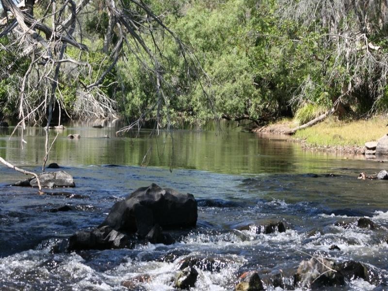 Mareeba QLD 4880