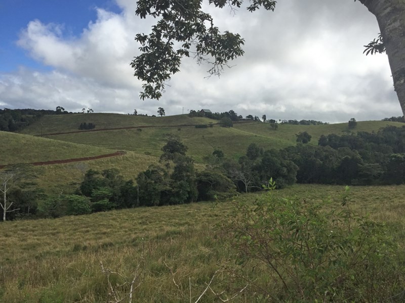Jaggan QLD 4885