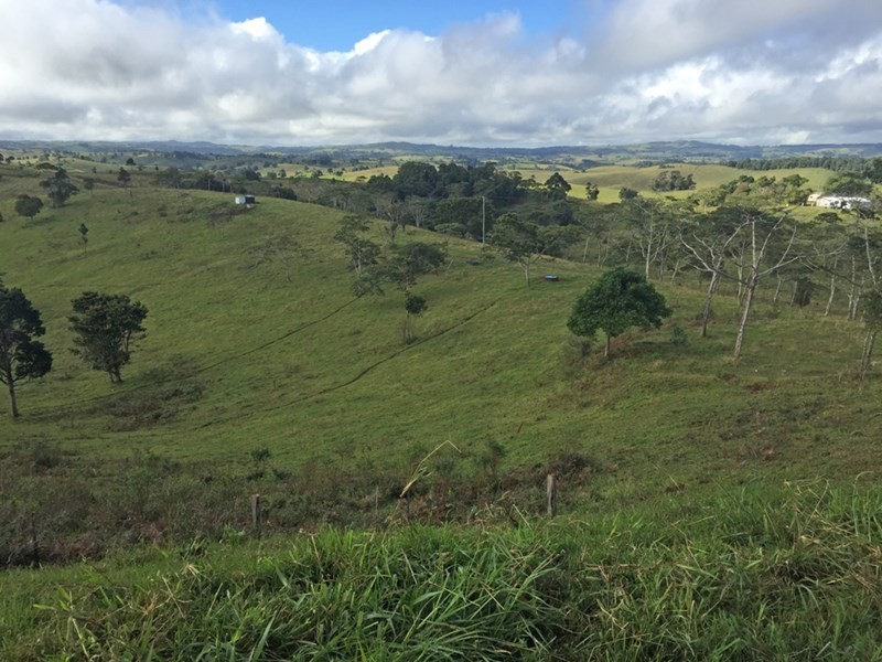 Jaggan QLD 4885
