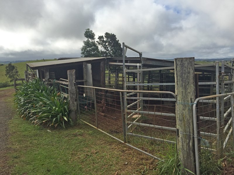 Jaggan QLD 4885