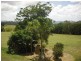 707 Peeramon Road, Peeramon QLD 4885