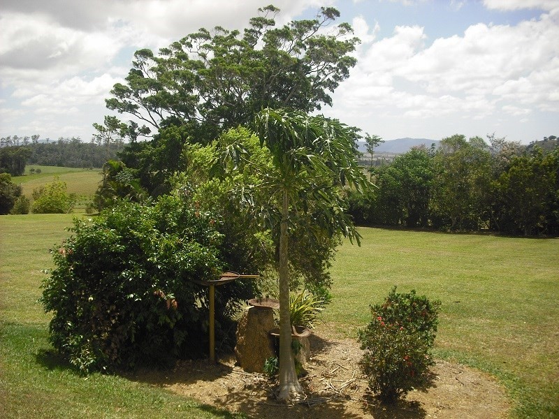 707 Peeramon Road, Peeramon QLD 4885