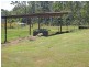 Tolga QLD 4882
