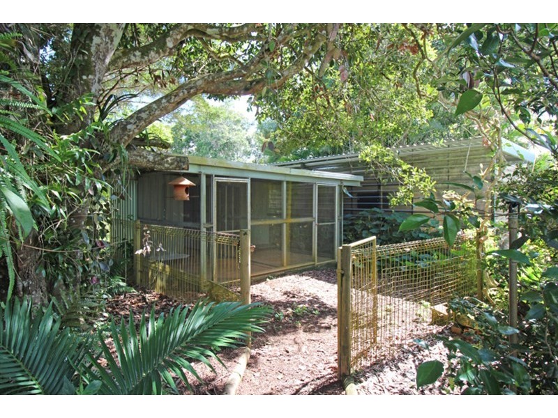 Lake Eacham QLD 4884