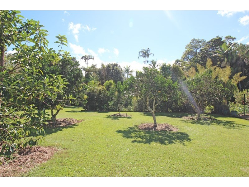 Lake Eacham QLD 4884
