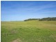 Tarzali QLD 4885
